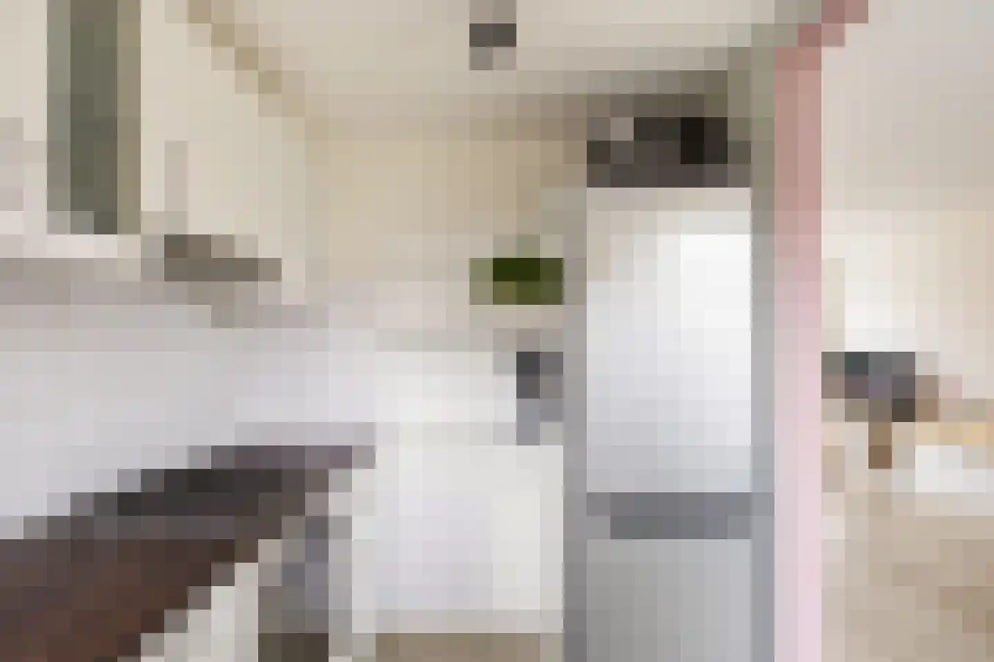Rembrandtstraat 3 Krimpen aan de Lek thumbnail 10