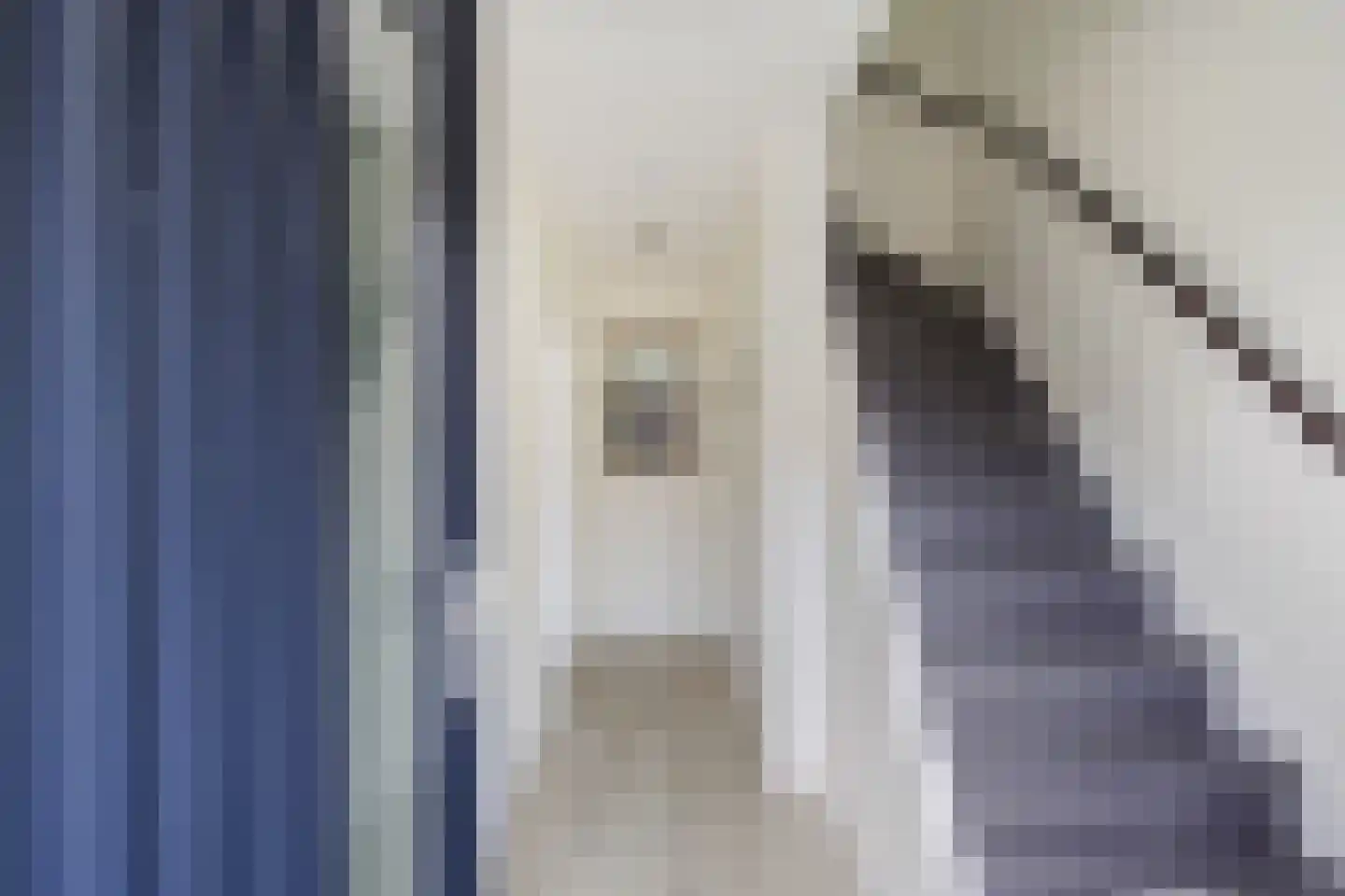 Rembrandtstraat 3 Krimpen aan de Lek thumbnail 15