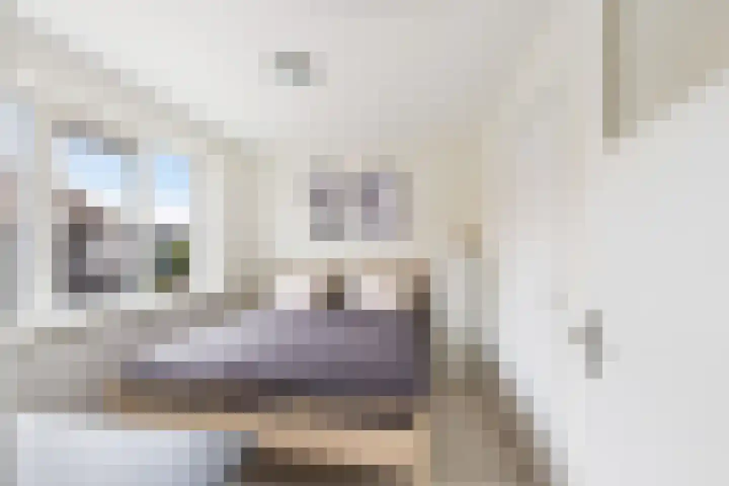 Rembrandtstraat 3 Krimpen aan de Lek thumbnail 21