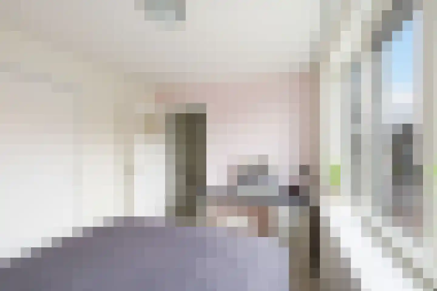Rembrandtstraat 3 Krimpen aan de Lek thumbnail 22