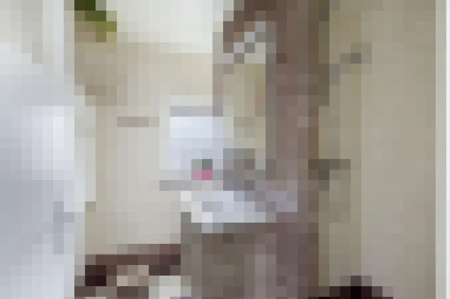 Rembrandtstraat 3 Krimpen aan de Lek thumbnail 24