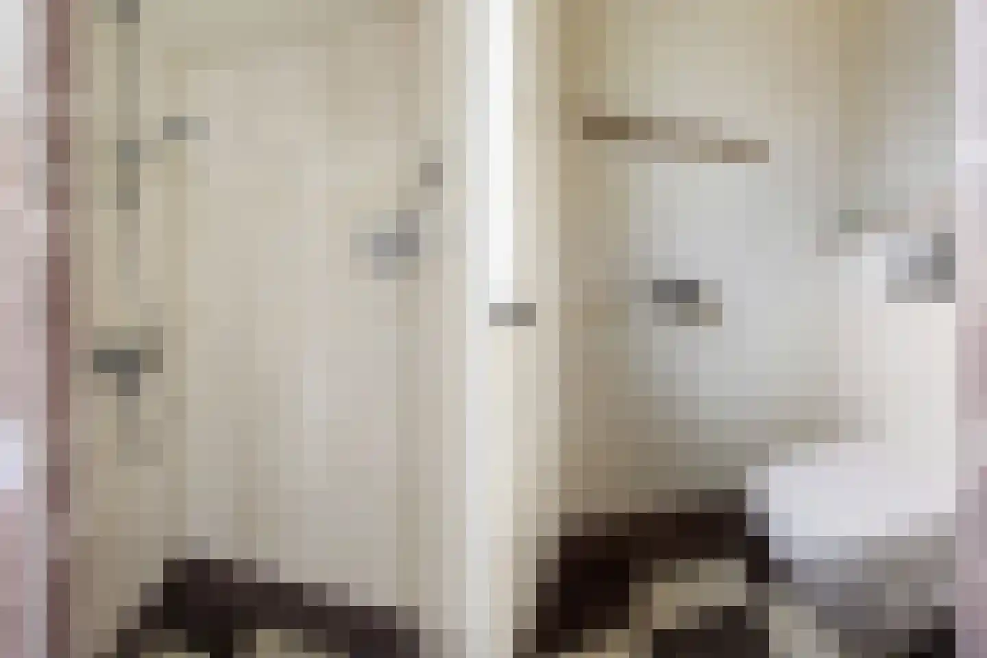 Rembrandtstraat 3 Krimpen aan de Lek thumbnail 25
