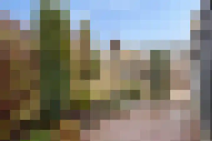 Rembrandtstraat 3 Millingen aan de Rijn thumbnail 29