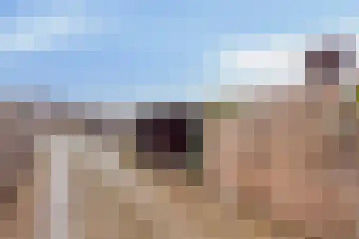 Rembrandtstraat 3 Millingen aan de Rijn thumbnail 32