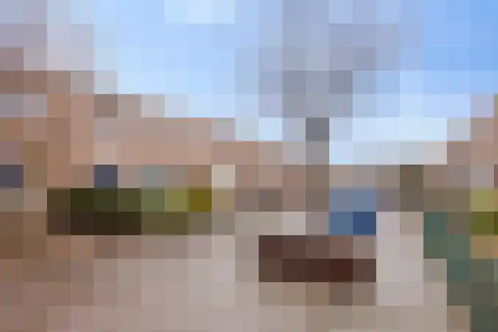 Rembrandtstraat 3 Millingen aan de Rijn thumbnail 36