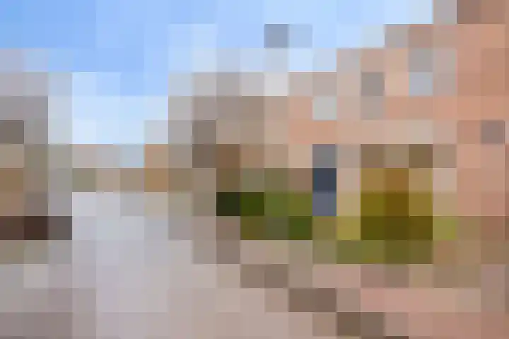 Rembrandtstraat 3 Millingen aan de Rijn thumbnail 37