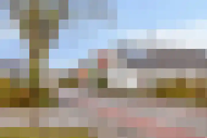 Rembrandtstraat 3 Millingen aan de Rijn thumbnail 39