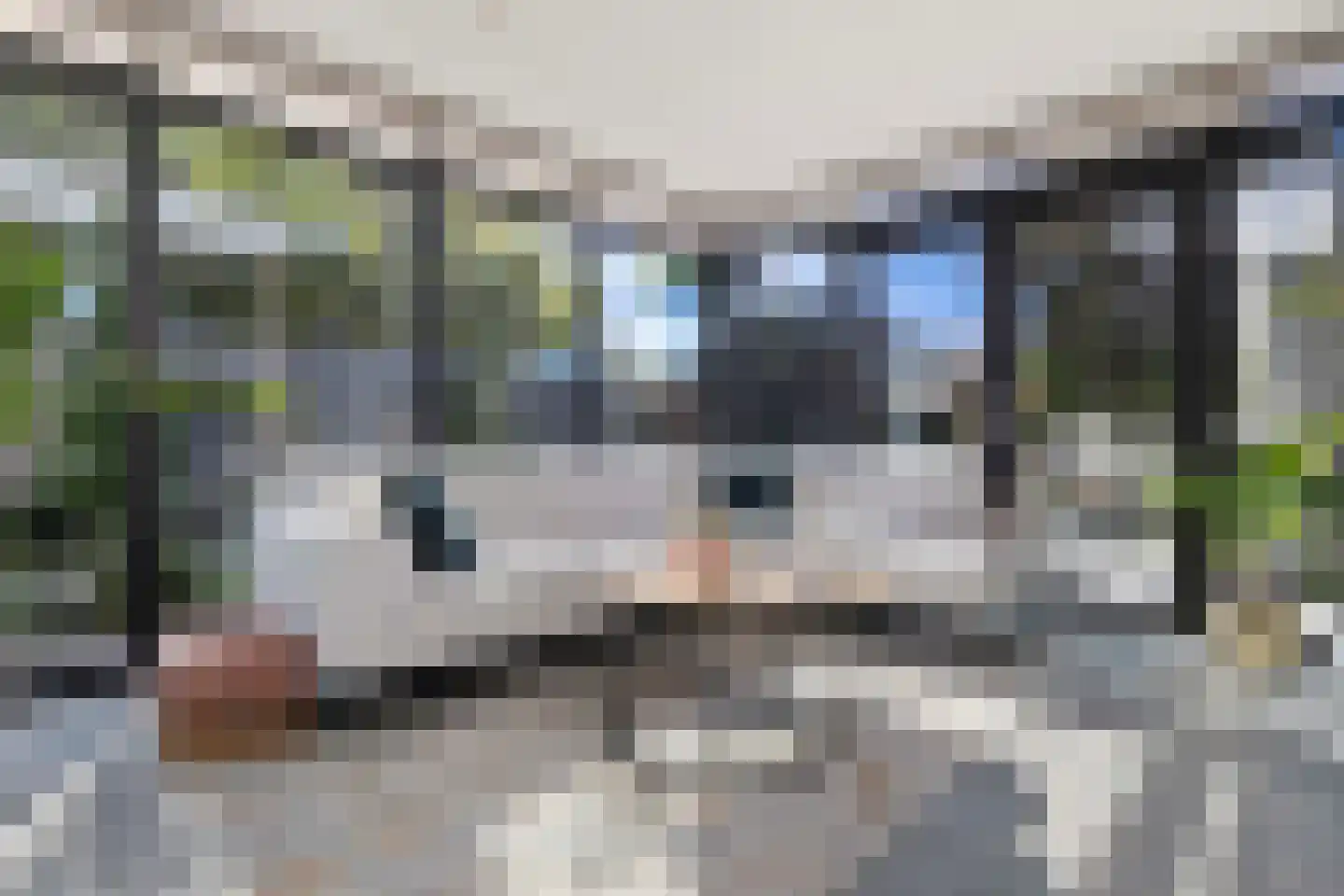 Rembrandtstraat 30 Reuver thumbnail 30