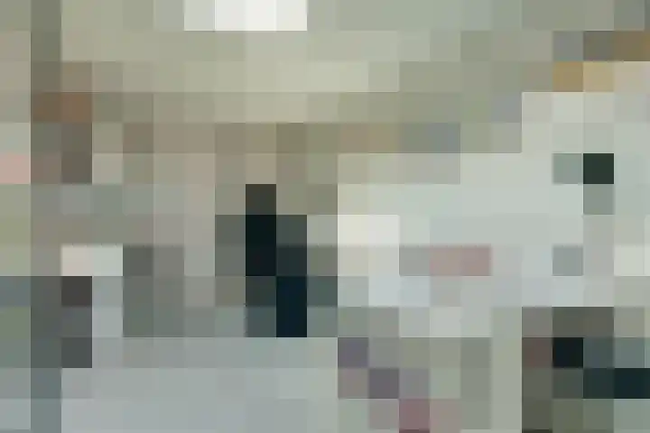 Rembrandtstraat 30 Twello thumbnail 31