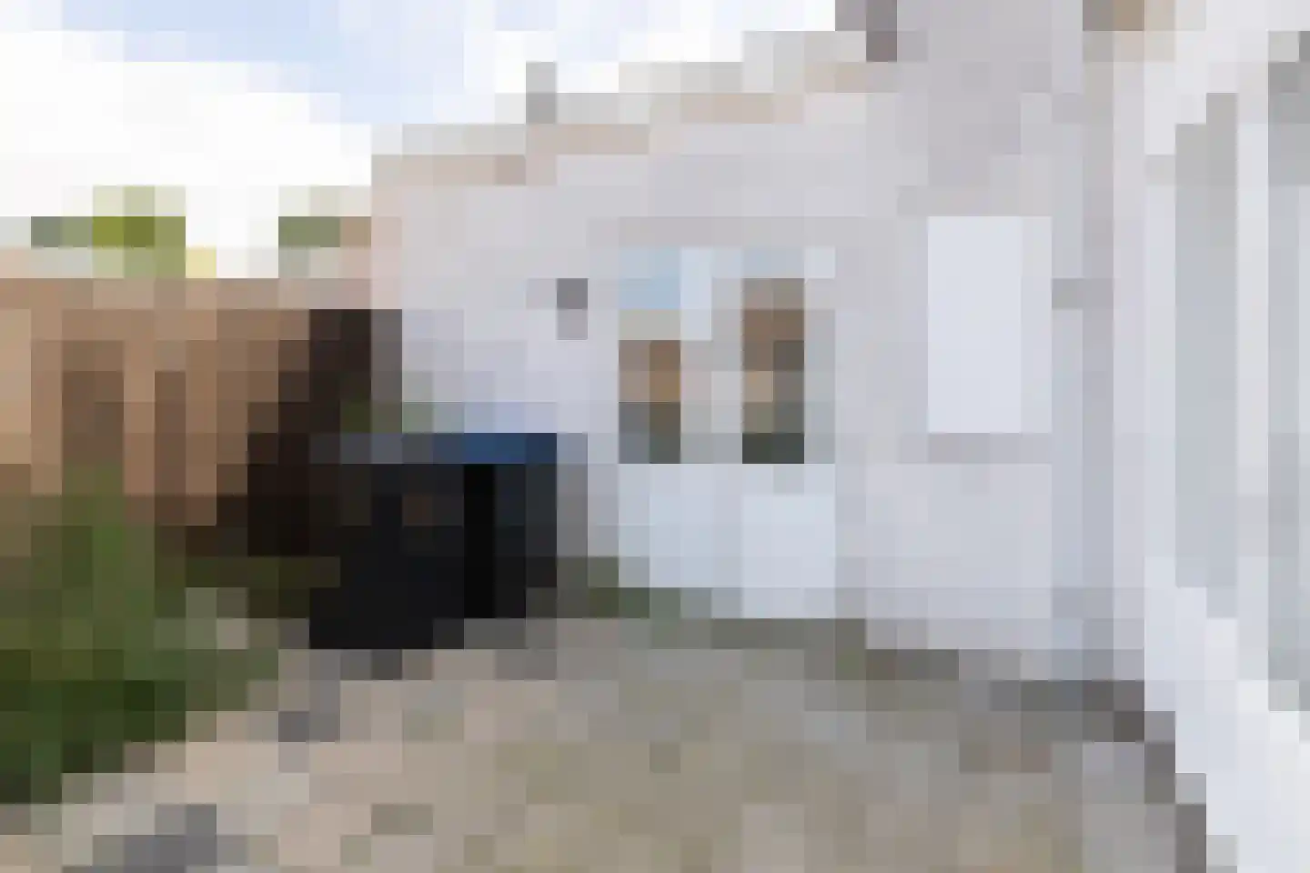 Rembrandtstraat 31 Bergen op Zoom thumbnail 21