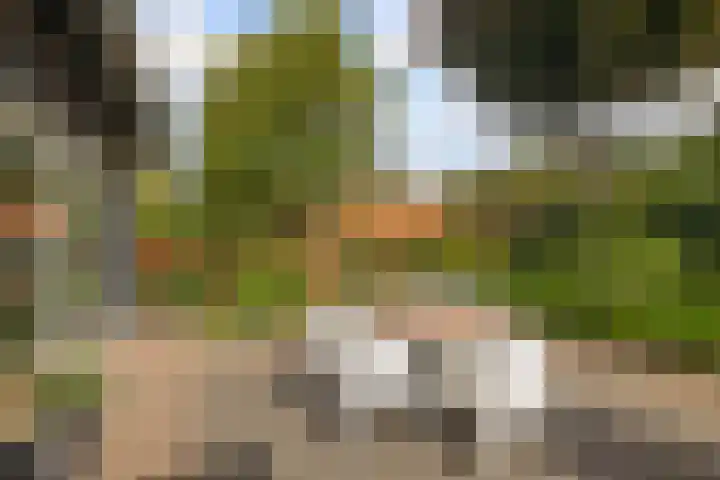 Rembrandtstraat 32 Reuver thumbnail 37