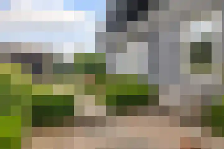 Rembrandtstraat 32 Reuver thumbnail 39