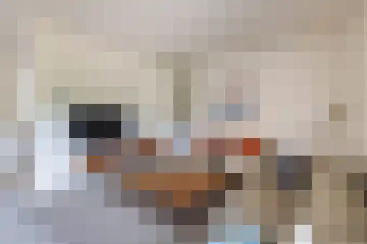 Rembrandtstraat 32 Reuver thumbnail 5