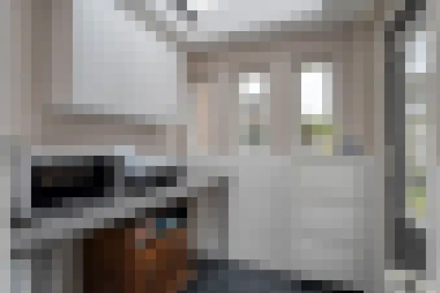 Rembrandtstraat 33 Ommen thumbnail 12