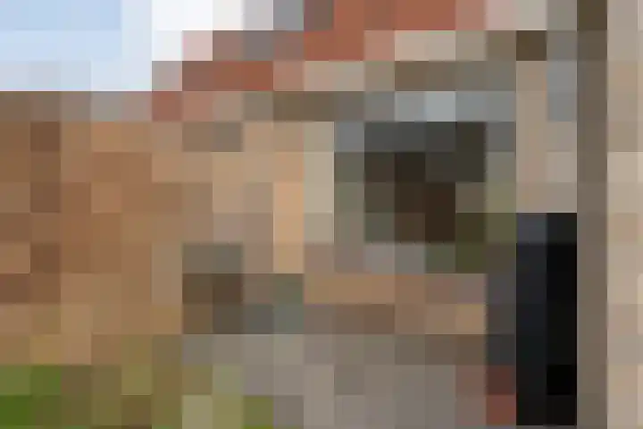 Rembrandtstraat 33 Ommen thumbnail 33
