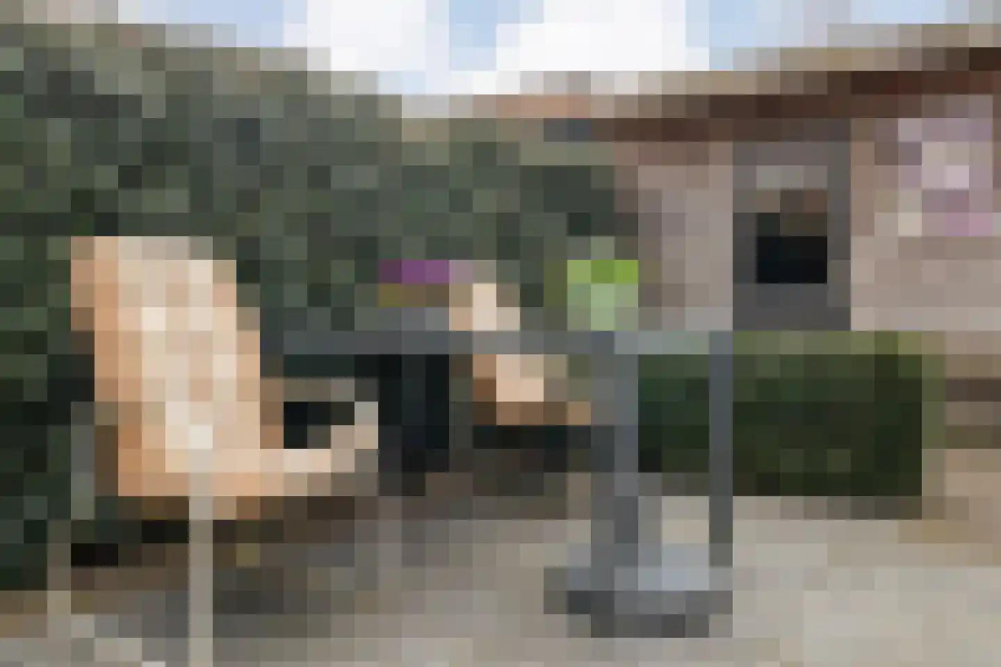 Rembrandtstraat 33 Ommen thumbnail 34