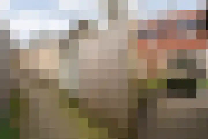 Rembrandtstraat 33 Ommen thumbnail 37