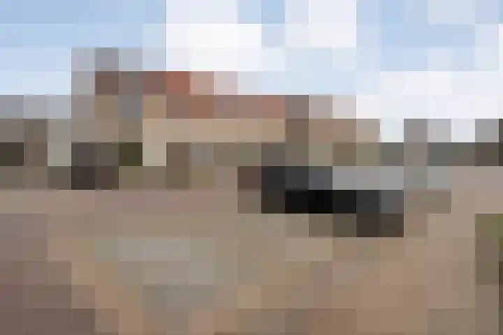 Rembrandtstraat 33 Ommen thumbnail 38