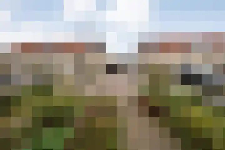 Rembrandtstraat 33 Ommen thumbnail 39