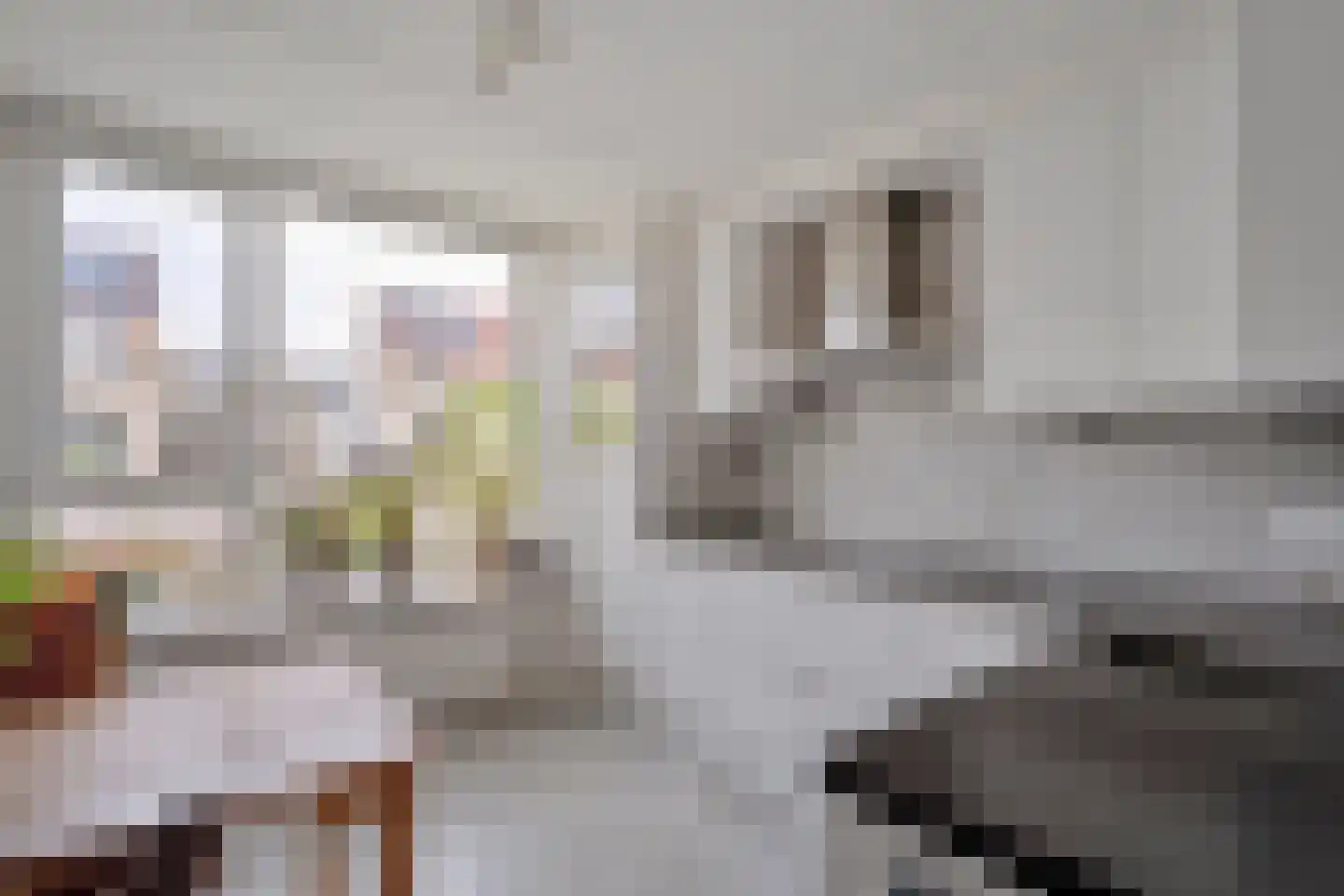 Rembrandtstraat 33 Ommen thumbnail 8