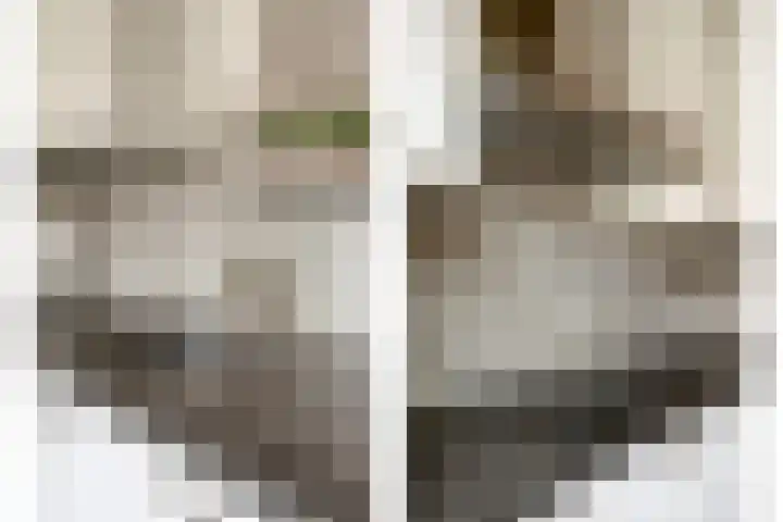 Rembrandtstraat 33 Ommen thumbnail 9