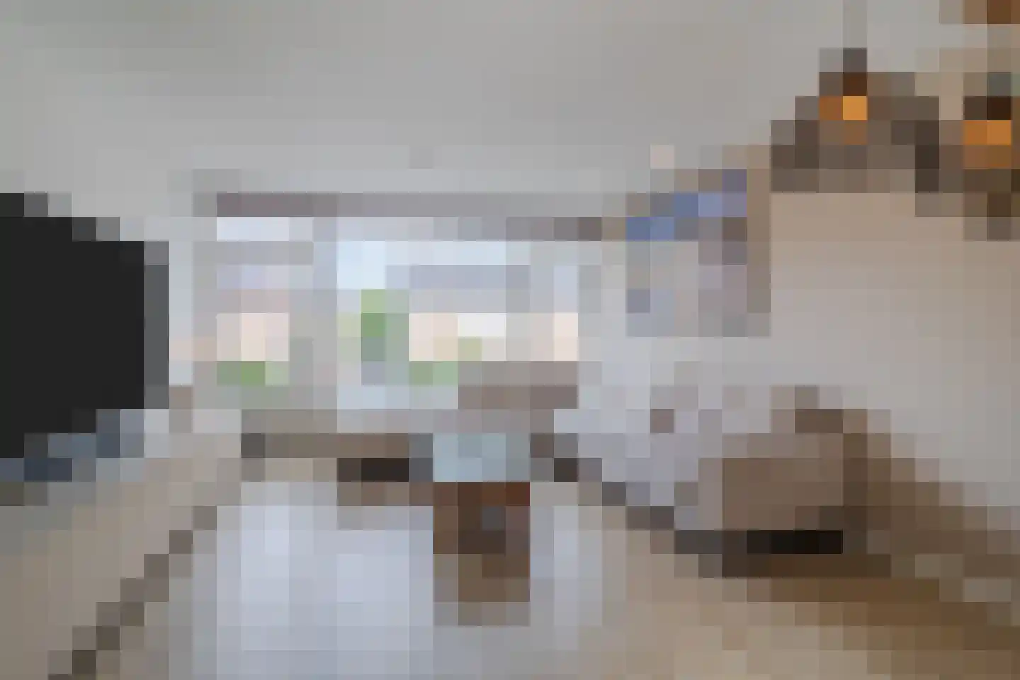 Rembrandtstraat 34 Zoetermeer thumbnail 12