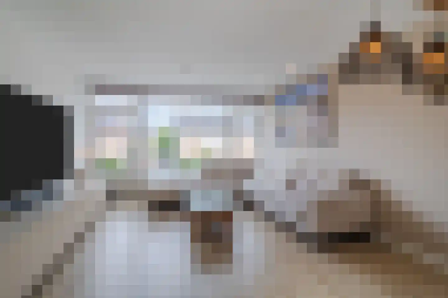 Rembrandtstraat 34 Zoetermeer thumbnail 12