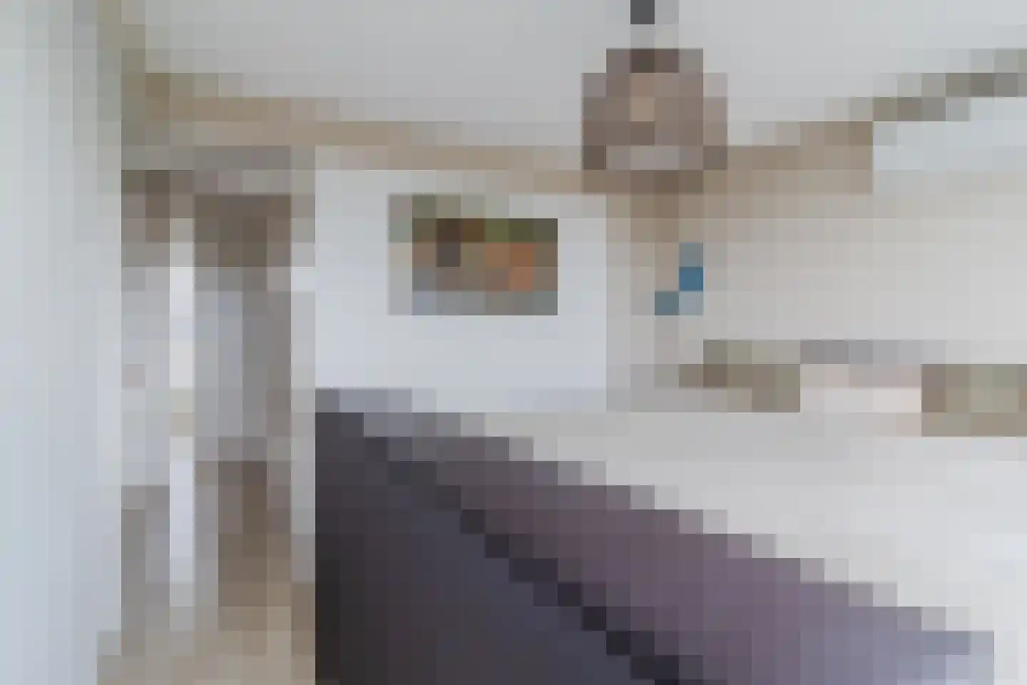 Rembrandtstraat 34 Zoetermeer thumbnail 25