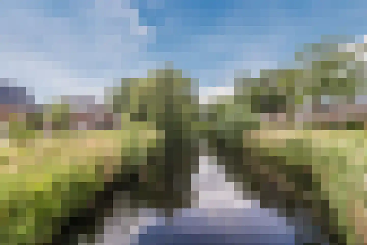 Rembrandtstraat 34 Zoetermeer thumbnail 39