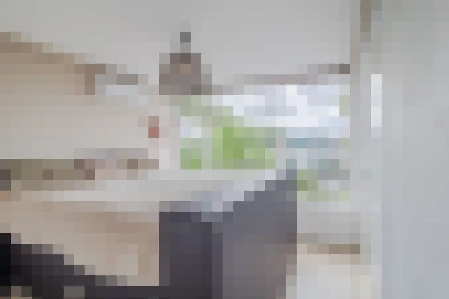 Rembrandtstraat 34 Zoetermeer thumbnail 4