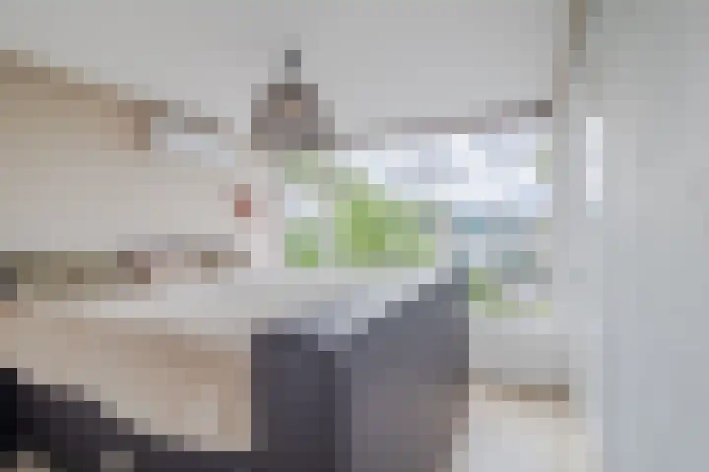 Rembrandtstraat 34 Zoetermeer thumbnail 4