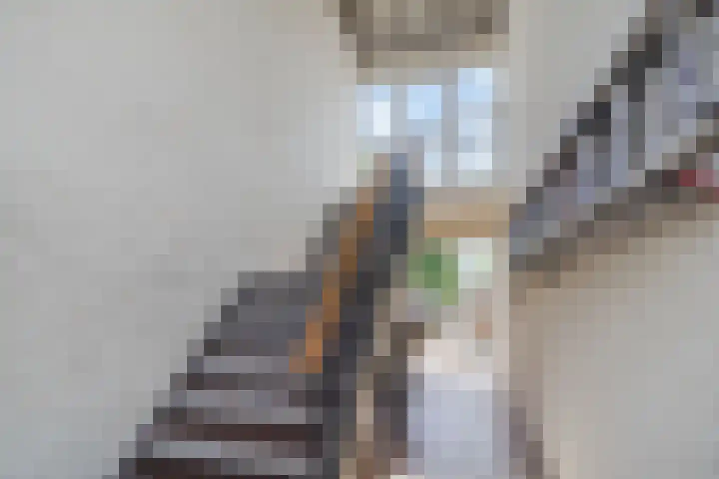Rembrandtstraat 34 Zoetermeer thumbnail 7