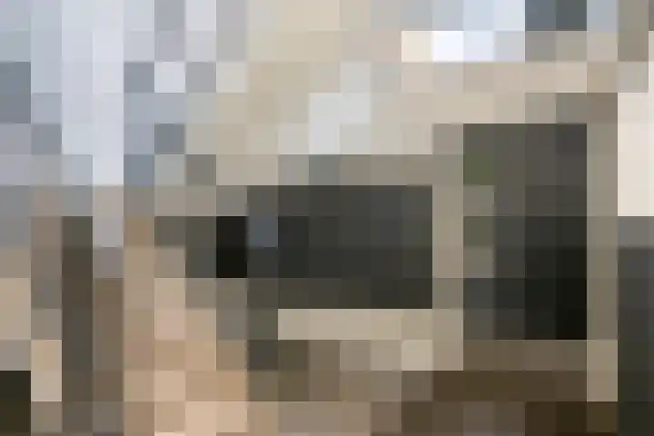 Rembrandtstraat 39 Dongen thumbnail 8