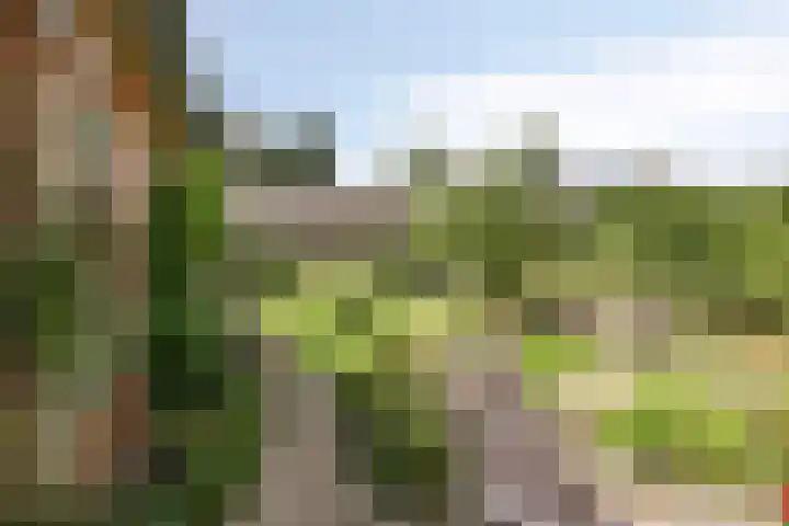 Rembrandtstraat 39 Goor thumbnail 29