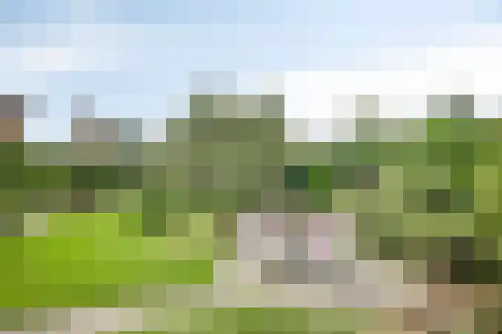 Rembrandtstraat 39 Goor thumbnail 31