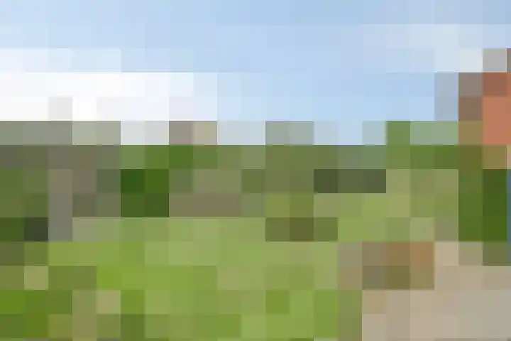 Rembrandtstraat 39 Goor thumbnail 35