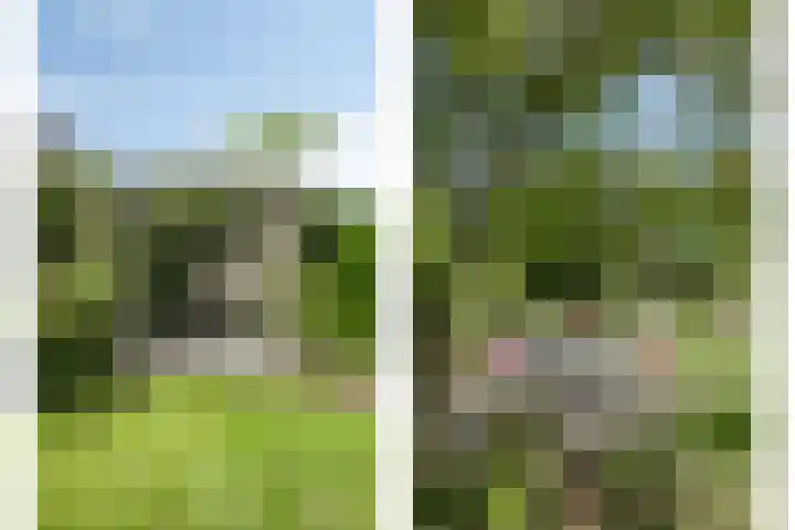 Rembrandtstraat 39 Goor thumbnail 36