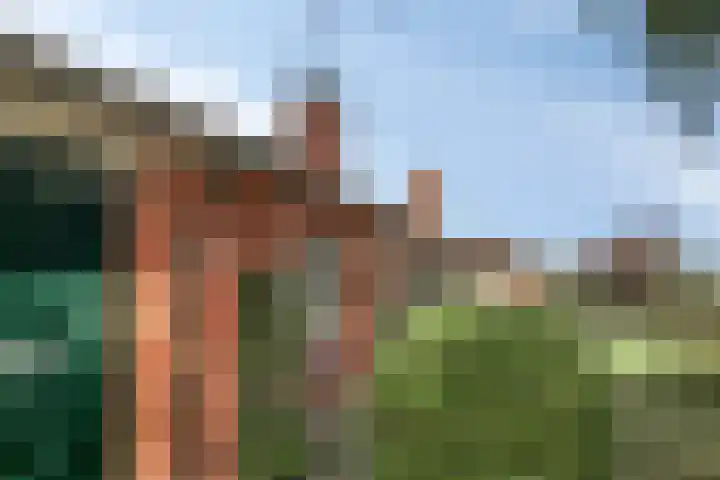 Rembrandtstraat 39 Goor thumbnail 4