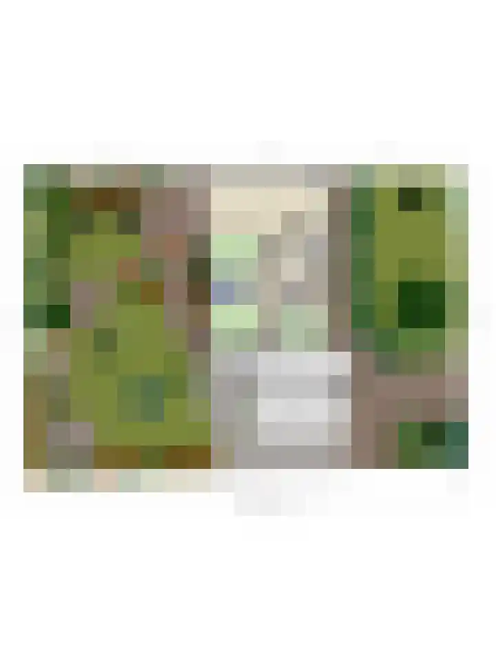 Rembrandtstraat 39 Goor thumbnail 41
