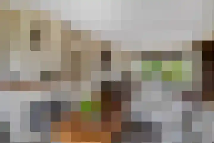 Rembrandtstraat 39 Goor thumbnail 8