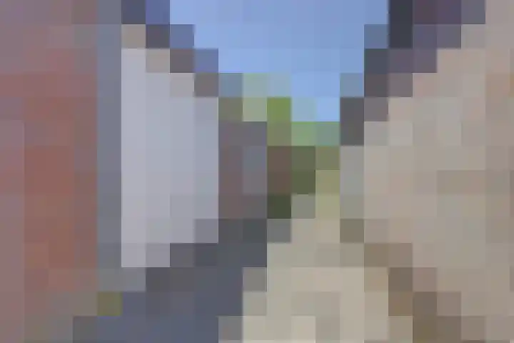 Rembrandtstraat 39 Vlijmen thumbnail 34