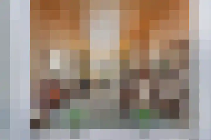 Rembrandtstraat 4 Alkmaar thumbnail 16
