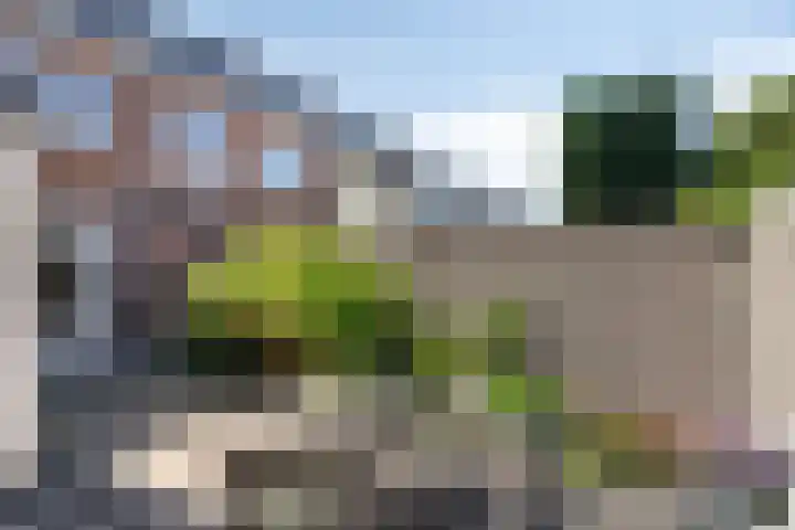 Rembrandtstraat 4 Alkmaar thumbnail 26
