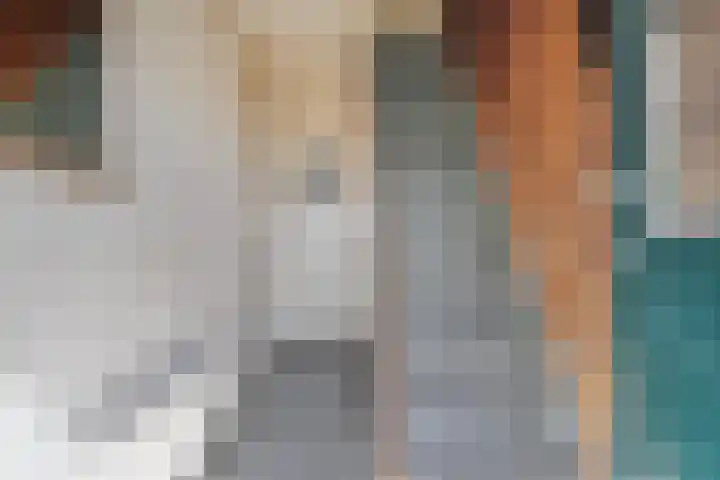 Rembrandtstraat 4 Alkmaar thumbnail 7