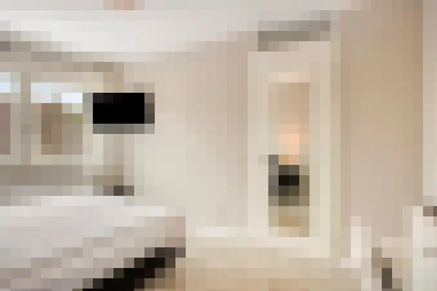 Rembrandtstraat 4 Kessel thumbnail 13