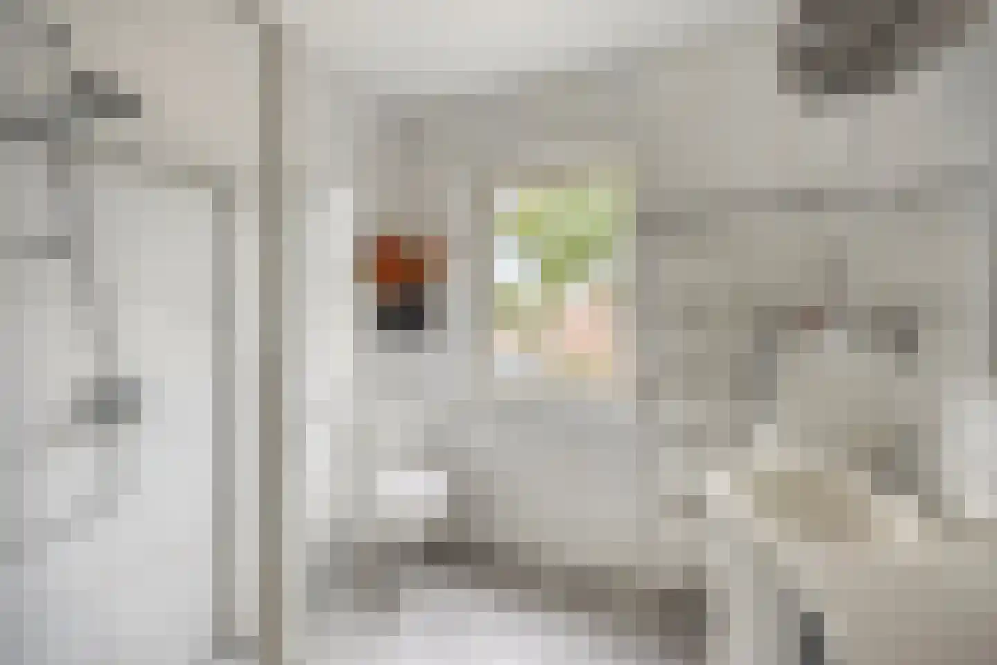 Rembrandtstraat 4 Kessel thumbnail 16