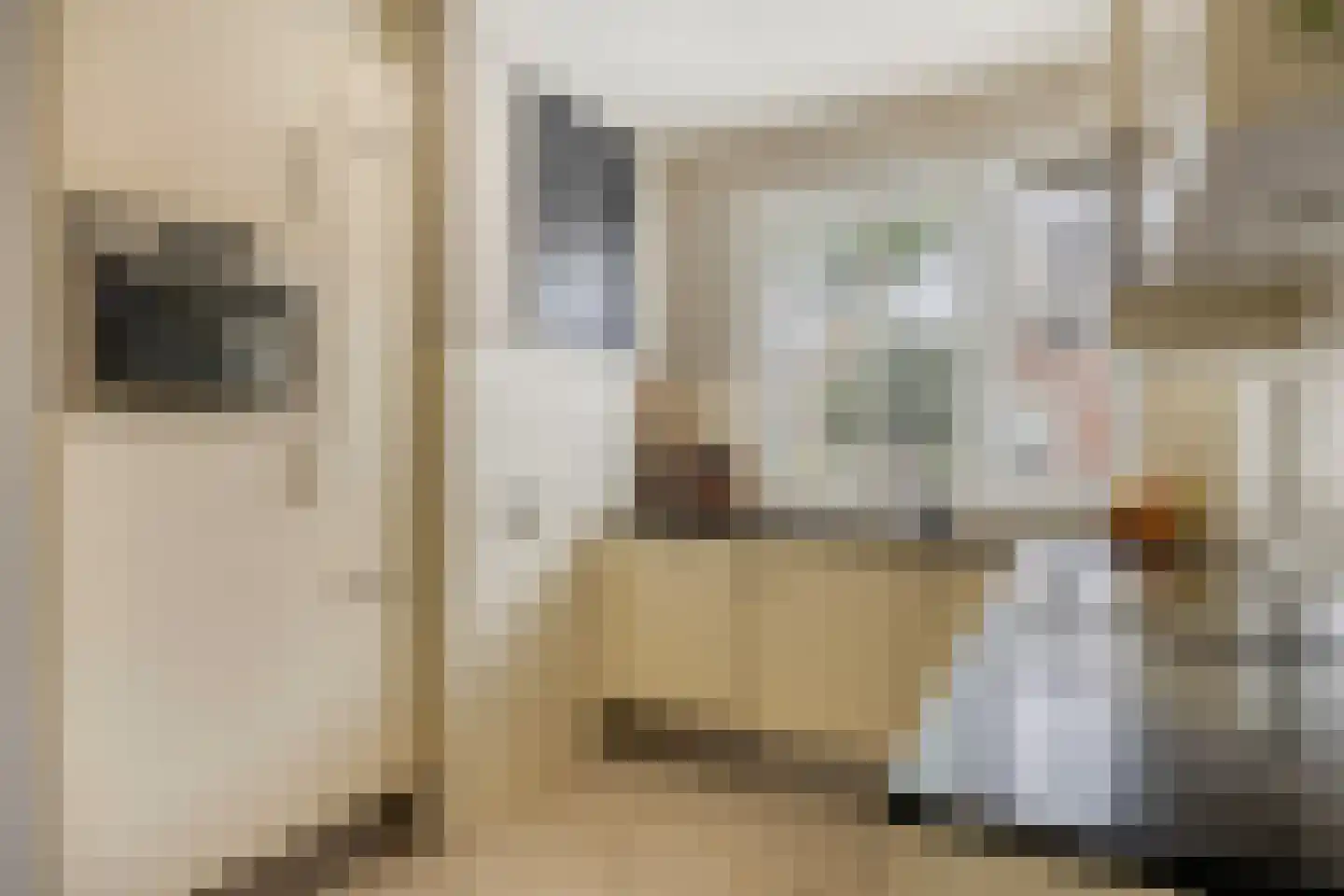 Rembrandtstraat 4 Kessel thumbnail 7