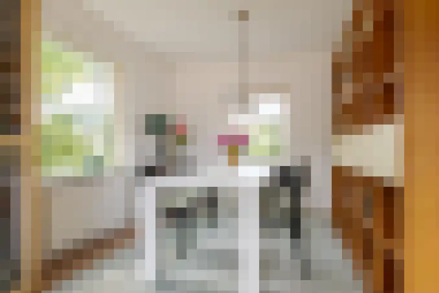 Rembrandtstraat 4 Nietap thumbnail 21