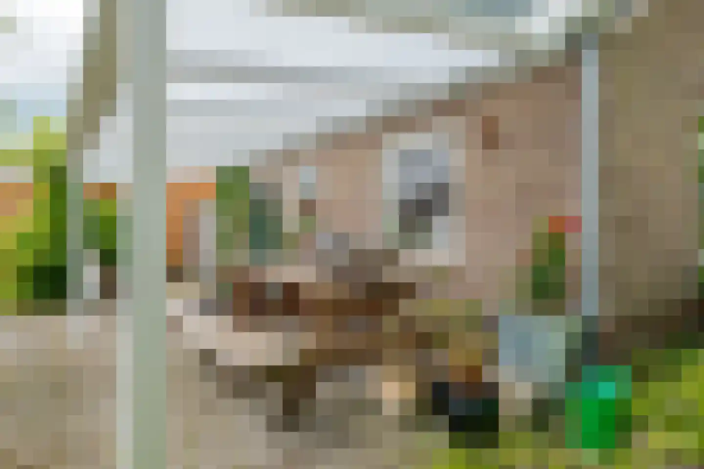 Rembrandtstraat 4 Nietap thumbnail 30