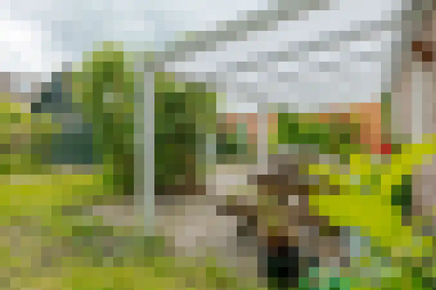 Rembrandtstraat 4 Nietap thumbnail 31